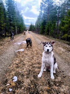 IMG_20260506_141512_063~2
